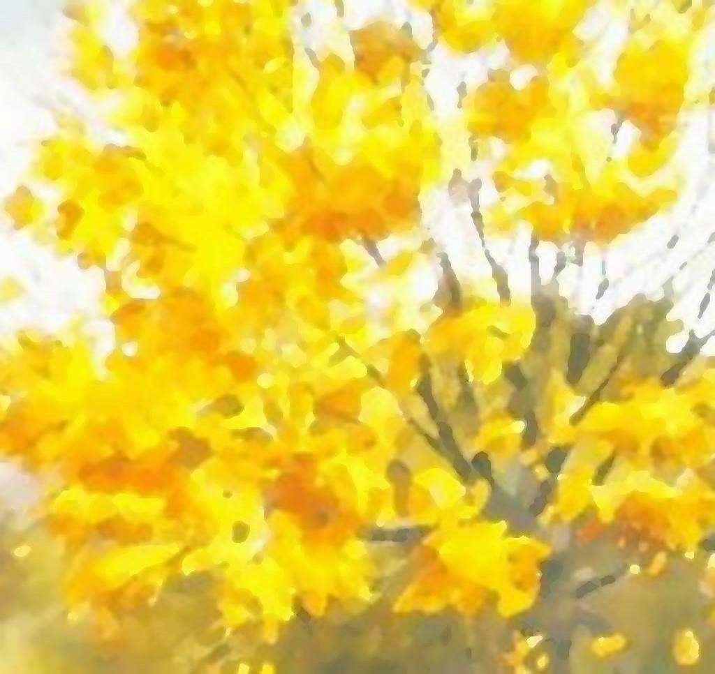 Le Vent Emporte Tout